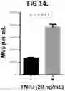 Fig. 11 - TEST TO ASSESS LIVER DISEASE SEVERITY