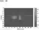 Fig. 07 - Apparatus and method for detecting cable fault based on reflectometry using AI