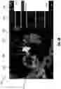 Fig. 05 - RADAR DISPLAY FEATURES