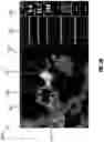 Fig. 07 - RADAR DISPLAY FEATURES