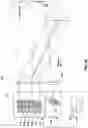 Fig. 08 - ANTIREFLECTIVE STICKER FOR LIDAR WINDOW