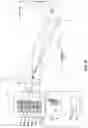 Fig. 09 - Multiple simultaneous laser beam emission and illumination while ensuring eye safety