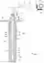 Fig. 01 - Borehole density measurement using pulsed neutron tool