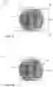 Fig. 07 - Folded camera lens designs
