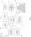 Fig. 02 - DISPLAYING A USER INPUT MODALITY