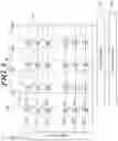 Fig. 04 - Memory system for suspending and resuming execution of command according to lock or unlock request, and operating method thereof