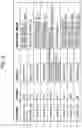 Fig. 09 - Performing index printing to print a plurality of images on a sheet