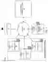 Fig. 02 - Creation and execution of customized code for a data processing platform