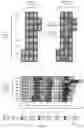 Fig. 07 - Error detection code generation techniques