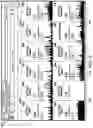 Fig. 07 - Monitoring performance of computing systems