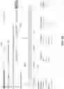 Fig. 17 - Distributed tracing of huge spans for application and dependent application performance monitoring