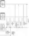 Fig. 05 - DETECTING SCHEMA INCOMPATIBILITIES FOR GENERATING VIEWS AT TARGET DATA STORES