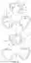 Fig. 05 - Time-based cluster imaging of amplified contiguity-preserved library fragments of genomic DNA