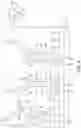 Fig. 11 - Time-based cluster imaging of amplified contiguity-preserved library fragments of genomic DNA