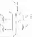 Fig. 06 - Contract library data structures and uses thereof