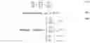 Fig. 78 - MULTI-TIME STEPPING INTEGRATION METHOD WITH DIRICHLET-ROBIN INTERFACE COUPLING AND APPLICATIONS OF SAME