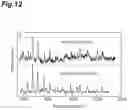 Fig. 13 - CONVOLUTIONAL NEURAL NETWORK DETERMINATION FOUNDATION EXTRACTION METHOD AND DEVICE
