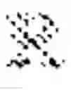 Fig. 02 - MACHINE LEARNING METHOD AND MACHINE LEARNING DEVICE FOR ELIMINATING SPURIOUS CORRELATION