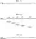 Fig. 13 - Operation analysis method, operation analysis device, and operation analysis program
