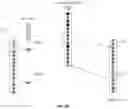 Fig. 08 - METHOD FOR GENERATING TRANSFERABLE TRANCHES
