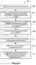 Fig. 09 - Identifying Multiple Mortgage Ready Properties