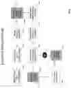 Fig. 07 - System and method for exchanging dynamically priced offer data between a restaurant and a consumer