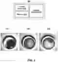 Fig. 06 - Methods and systems for identifying internal conditions in juvenile fish through non-invasive means