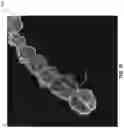 Fig. 16 - Image-based defect detection of dental appliances