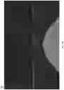 Fig. 35 - Water non-water segmentation systems and methods