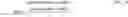Fig. 02 - Preserving document design using font synthesis