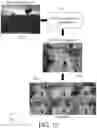 Fig. 24 - Systems and Methods for Extracting Data From Autonomous Vehicles