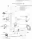 Fig. 01 - Adaptive simulation rendering on sensory load
