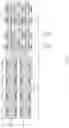 Fig. 06 - Sub-wordline driver