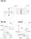Fig. 03 - Threshold switch structure and memory cell arrangement