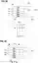 Fig. 06 - Threshold switch structure and memory cell arrangement