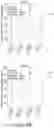 Fig. 22 - DETECTION OF MEDICAL CONDITION, SEVERITY, RISK, AND ACUITY USING PARAMETERS