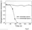 Fig. 05 - Electrically and/or magnetically active material and production method thereof
