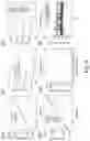 Fig. 09 - Rolled hetero-structures and method of manufacturing rolled hetero-structures