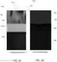 Fig. 03 - Obtaining a clean nitride surface by annealing