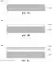 Fig. 04 - Obtaining a clean nitride surface by annealing