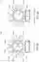 Fig. 06 - Substrate processing apparatus