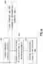 Fig. 22 - Method and apparatus for substrate transport apparatus position compensation