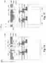 Fig. 11 - Image sensor with improved near-infrared (NIR) radiation phase-detection autofocus (PDAF) performance