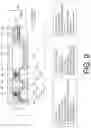 Fig. 10 - Image display element