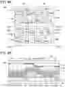 Fig. 10 - Display device, display module, and electronic device