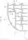 Fig. 26 - Display device including lower pattern