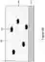 Fig. 09 - Semiconductor device and method