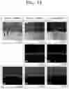 Fig. 08 - See-through thin film solar cell module and method of manufacturing the same