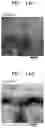 Fig. 10 - See-through thin film solar cell module and method of manufacturing the same