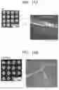 Fig. 11 - See-through thin film solar cell module and method of manufacturing the same